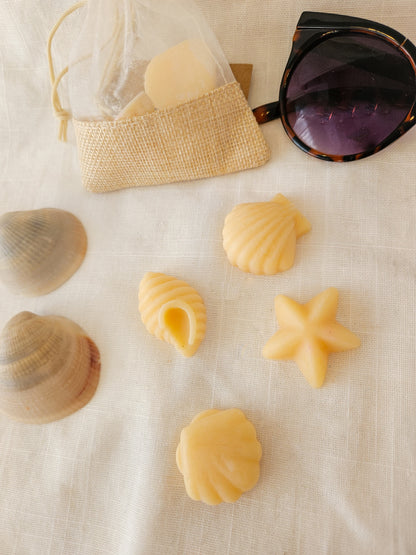 Fondants coquillages  ✨