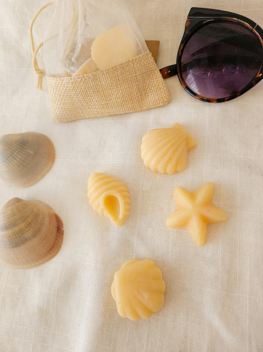Fondants coquillages  ✨